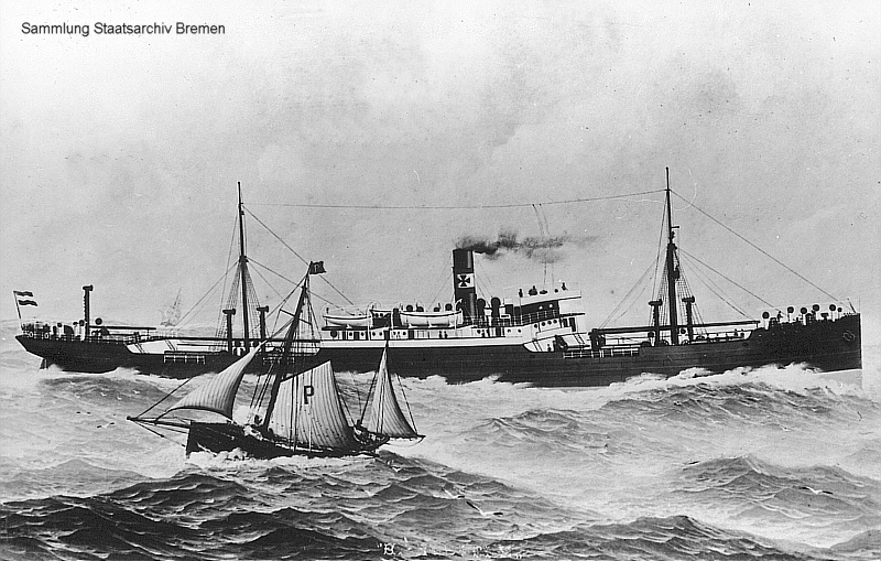BRENFELS (1)