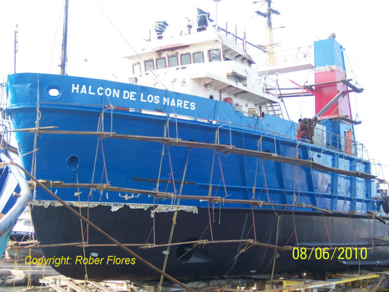 HALCON DE LOS MARES