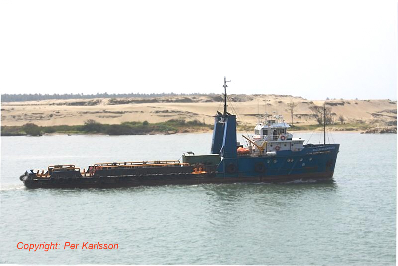 HALCON DE LOS MARES