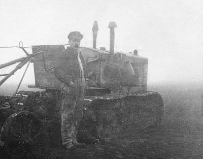 Landwirtschaft auf der Luneplate