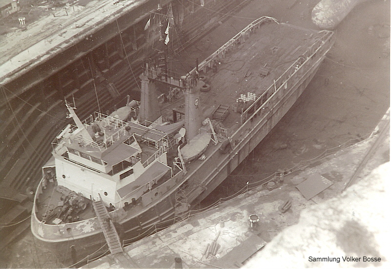 OSA DRAGON
