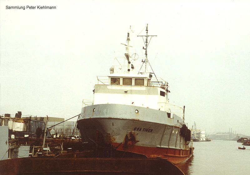 osatiger110.jpg (142495 Byte)
