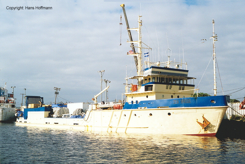 SEA BRIDGE