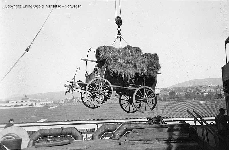 ROTENFELS (2) ein Pferdewagen.