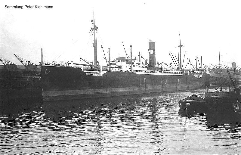 TREUENFELS (2) im berseehafen in Bremen.